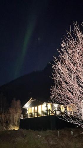 a building with a tree in front of it at night at High standard and beautiful view in Tennevika