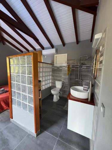 a bathroom with a toilet and a sink at Bungalow Racoon Le Gosier in Le Gosier