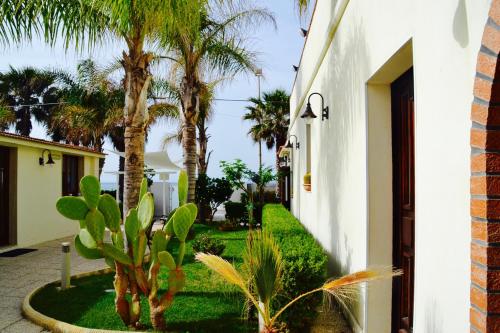 サンタ・マリア・デル・フォカッロにあるCaposud Residence and Beach Clubのヤシの木と白い建物のある庭