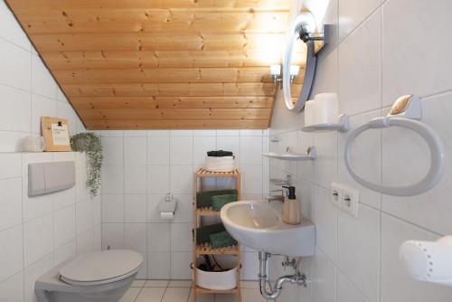 un baño con inodoro y lavabo en Haus Freudig - Tannenblick, en Höchenschwand