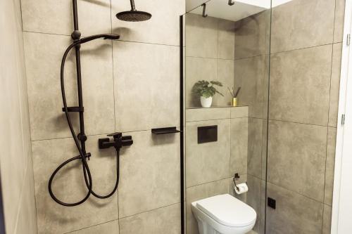 Apartmány pod zvonicíにあるバスルーム