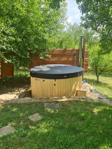 a hot tub in the middle of a yard at CASA CRISAN in Vadul lui Carol II