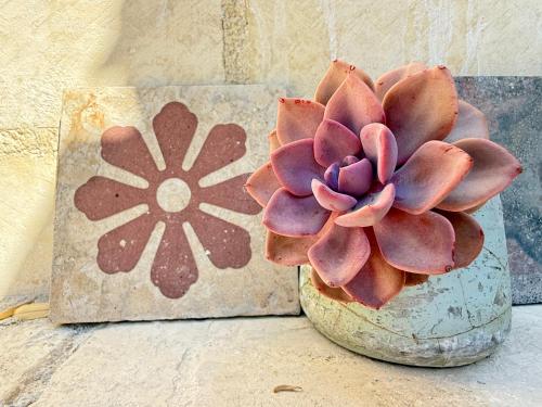 Imagen de la galería de Azalo Country House, en Noto