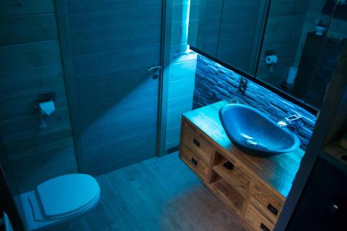 a bathroom with a sink and a mirror and a toilet at Casa Delux in Lille