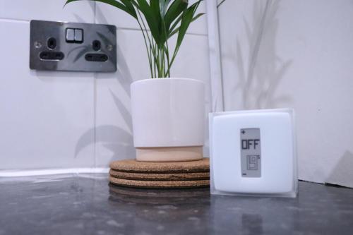 a plant in a white vase sitting next to a clock at Hale Lodge in London
