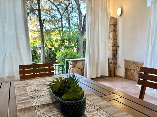 Gambar di galeri bagi ISA - Residence with swimming pool in Porto Rotondo di Porto Rotondo