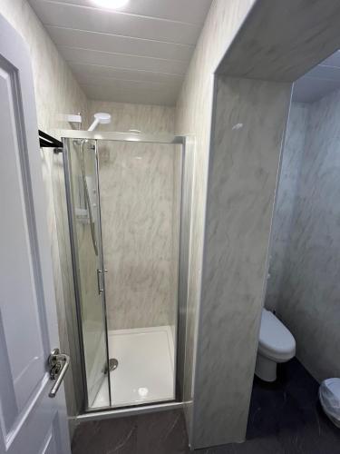 a bathroom with a shower and a toilet at Shamrock Inn in Cork