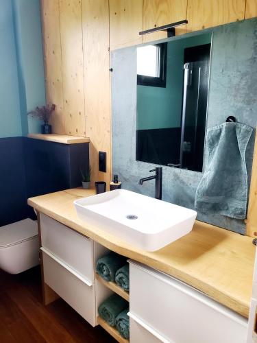 a bathroom with a white sink and a mirror at Luxury Bali Villa in Hossegor 5 stars- Pool & Petanque in Hossegor