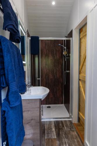 a bathroom with a sink and a shower in it at Kingfisher - Dog Friendly Luxury Glamping in North Devon in Buckland Brewer