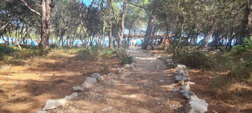 シムニにあるApartments BEVANDAのギャラリーの写真