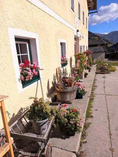 a group of potted plants on the side of a building at FP Muehlmann&Schoen in Innervillgraten