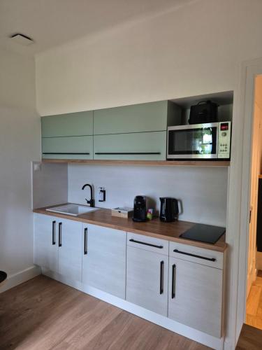 a kitchen with white cabinets and a sink and a microwave at Logement "L'Olivier" TREVOUX climatisé in Trévoux