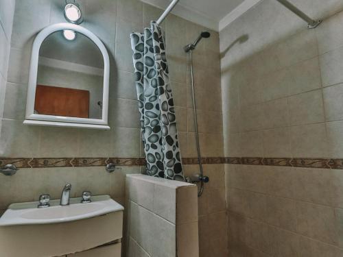 Un baño con cortina de ducha y lavabo. en Gala Austral, en Ushuaia