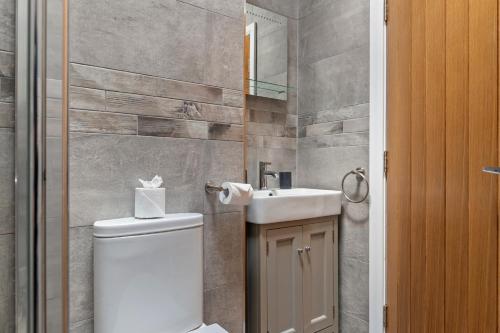 a bathroom with a toilet and a sink at Willow at Gorslwyd - Sound Retreat in Aberporth