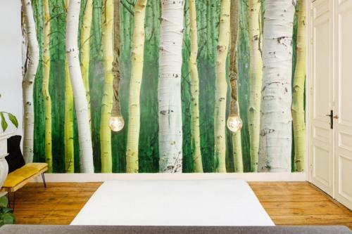 a wall mural of birch trees in a room at B&B DRUUM in Brussels