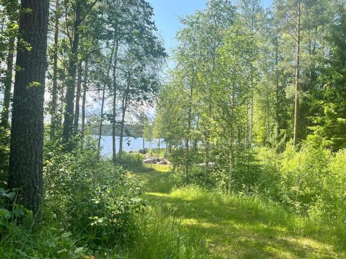 a path through a forest with a lake in the background at The Secret Cabin 
