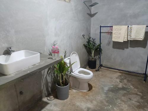 a bathroom with a sink and a toilet and plants at Monyharch Angkor Homestay, in Phumĭ Kngan Pông