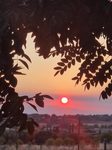 a sunset seen through the leaves of a tree at Ktima Lena in Órmos