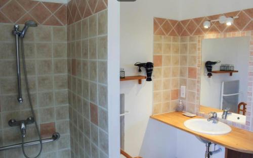 a bathroom with a shower and a sink at Le Petit Etang in Gréoux-les-Bains