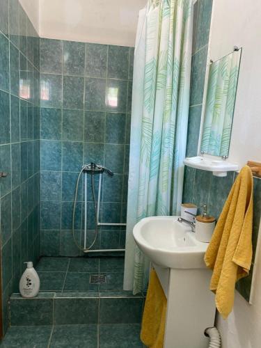 a bathroom with a sink and a shower at La Valentina si Gabriel in Vadu