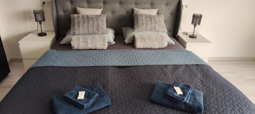 ブダペストにあるDuna Panorama -two-bedroom apartment with terraceの枕が2つ置かれたベッドのある寝室