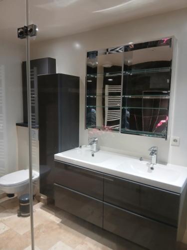 un baño con lavabo e inodoro en vanoulou, en Drucourt