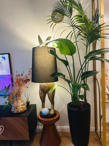 une lampe assise sur une table à côté d'une plante dans l'établissement Les Chambres de David, à Paris