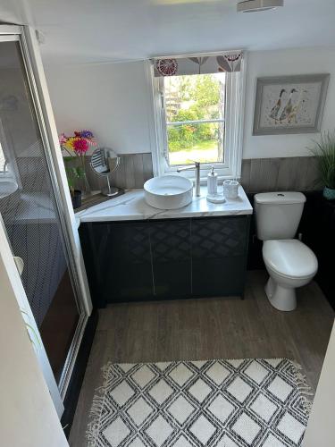a bathroom with a sink and a toilet at 8 Willow Street in Llanrwst