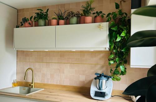 パリにあるLes Chambres de Davidの鉢植えの台所カウンター