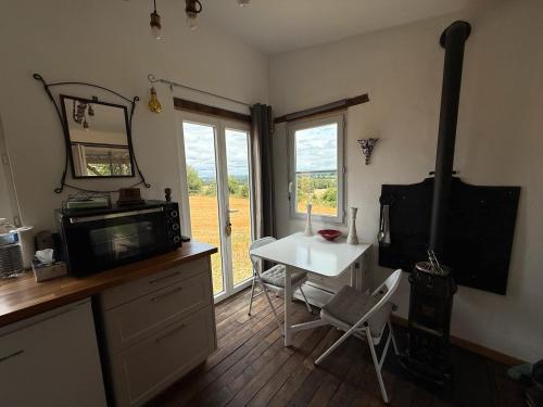 Η κουζίνα ή μικρή κουζίνα στο Tiny house bord de l'étang - Iri