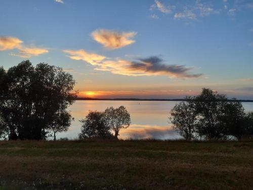 a sunset over the water with trees in a field at Le four de mimile in Montieramey