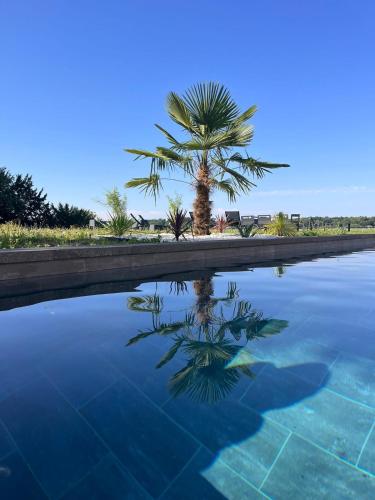 a palm tree and its reflection in the water at Le Domaine de la Vallée in Vernon