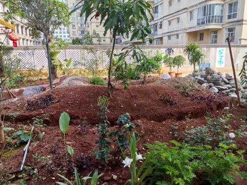 a garden in front of a building at Mangshi Dianshan Xiyuan Homestay in Mangshi