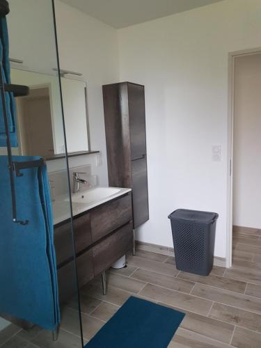 a bathroom with a sink and a mirror at Maison récente pour vacances en Charente-Maritime in Saint-Agnant