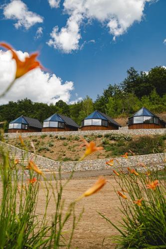 a group of houses on top of a hill with flowers at Bio Resort Čičkova in Arilje