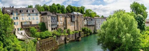 einen Fluss in einer Stadt mit Gebäuden und Bäumen in der Unterkunft La maison au bout du chemin in Poey-dʼOloron
