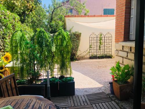 un jardin avec un portail et des plantes dans une cour dans l'établissement Votre séjour à Sanary DANS BAS DE VILLA avec 1 terrasse végétalisée et abritée exposition Est Sud Ouest à 400m du Centre ville en zone piétonne où tout peut se faire à pied, à Sanary-sur-Mer