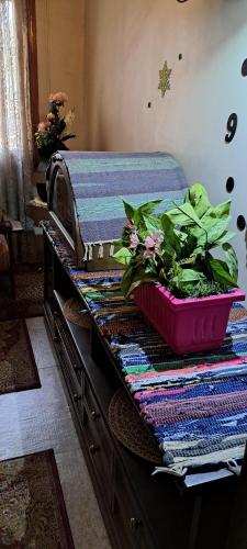 a table with a potted plant on top of it at Free Pickup&Dropoff Cairo Airport limousine with staying at Hewidi Panorama Apartment 7Min to Airport & self checking in at anytime 免费利莫司汀往返机场 随时自助入住 شقة فاخرة تطل على مطار القاهرة مع توصيل مجاني in Cairo