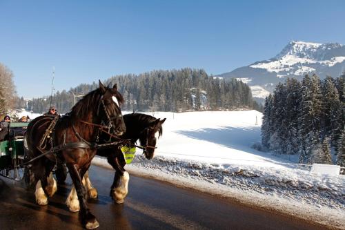 two horses pulling a carriage down a road at Schlosshotel Kitzbühel in Kitzbühel
