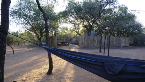 a hammock tied to a tree in a park at Mologa River Lodge in Rust de Winter