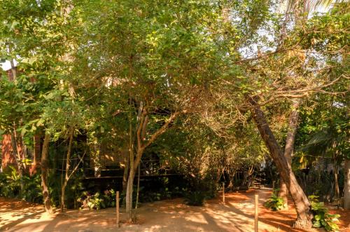 Un jardín fuera de Hotel Noga