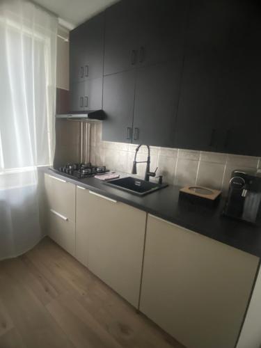 Dapur atau dapur kecil di Dana Apartment
