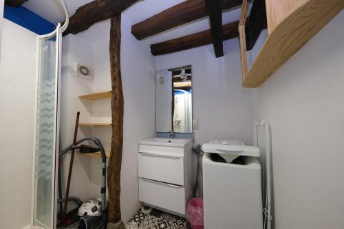 un piccolo bagno con lavandino e specchio di Le Cocon Douillet a Rouen