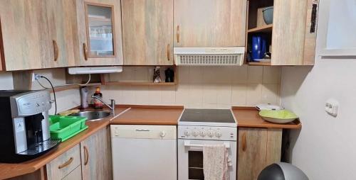 a small kitchen with a sink and a stove at Levu Lak in Kapuvár