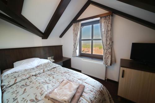 a bedroom with a bed and a window and a television at Villa od Alula in Vevčani