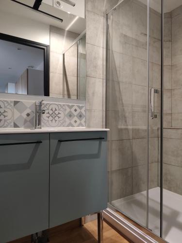 une salle de bain avec douche et lavabo dans l'établissement Eurotunnel - Commerce - Famille & Pro 2ch 5 p, à Calais