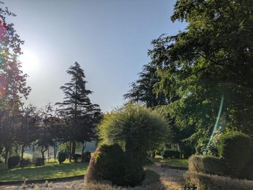 a garden with bushes and trees on a field at Maison familiale - La Rabouillère in Englancourt