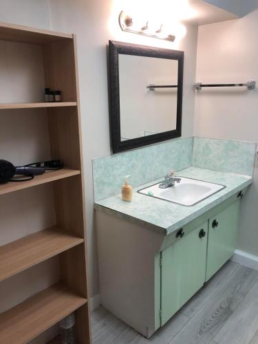 a bathroom with a sink and a mirror at Comfort cottage guest home near subway station, bus and downtown in Vancouver