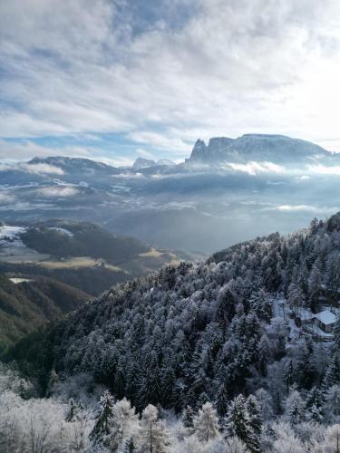 a view of a mountain with snow covered trees at Alpenglow Apartments in Collalbo