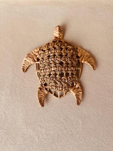 a bronze turtle is on a white wall at Ammoo in Amoopi